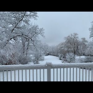 Meet your Posher, Meridell